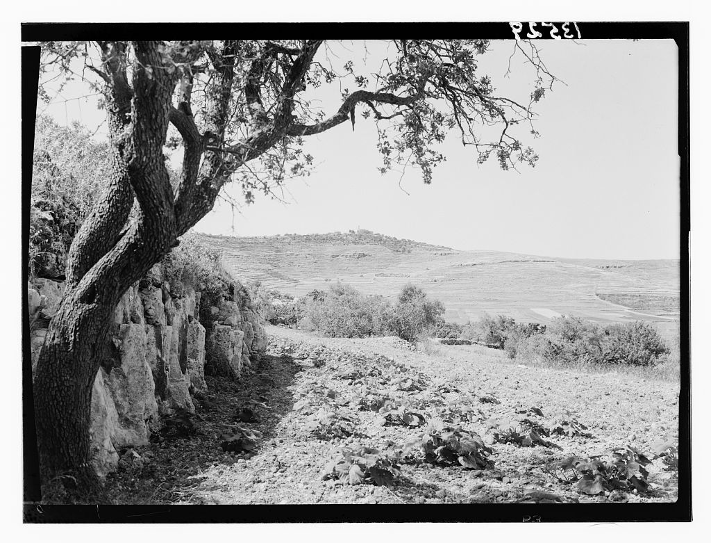 Mizpah from El-Gib, Gibeon, June 2, '46