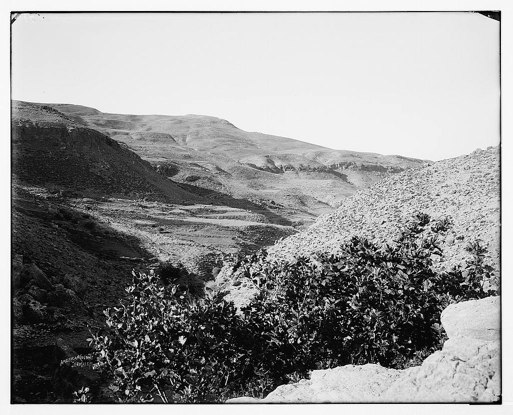 East of Jordan and the Dead Sea. Mount Nebo from 'Ayoun Mousa