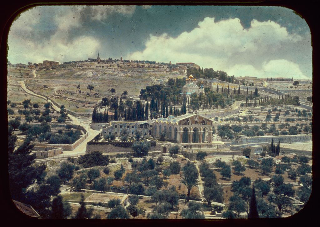 Mount of Olives, Bethany, etc. Mount of Olives from the city wall