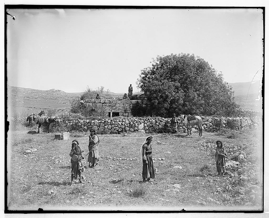 Northern views. Ruins of Shiloh (Seilun)