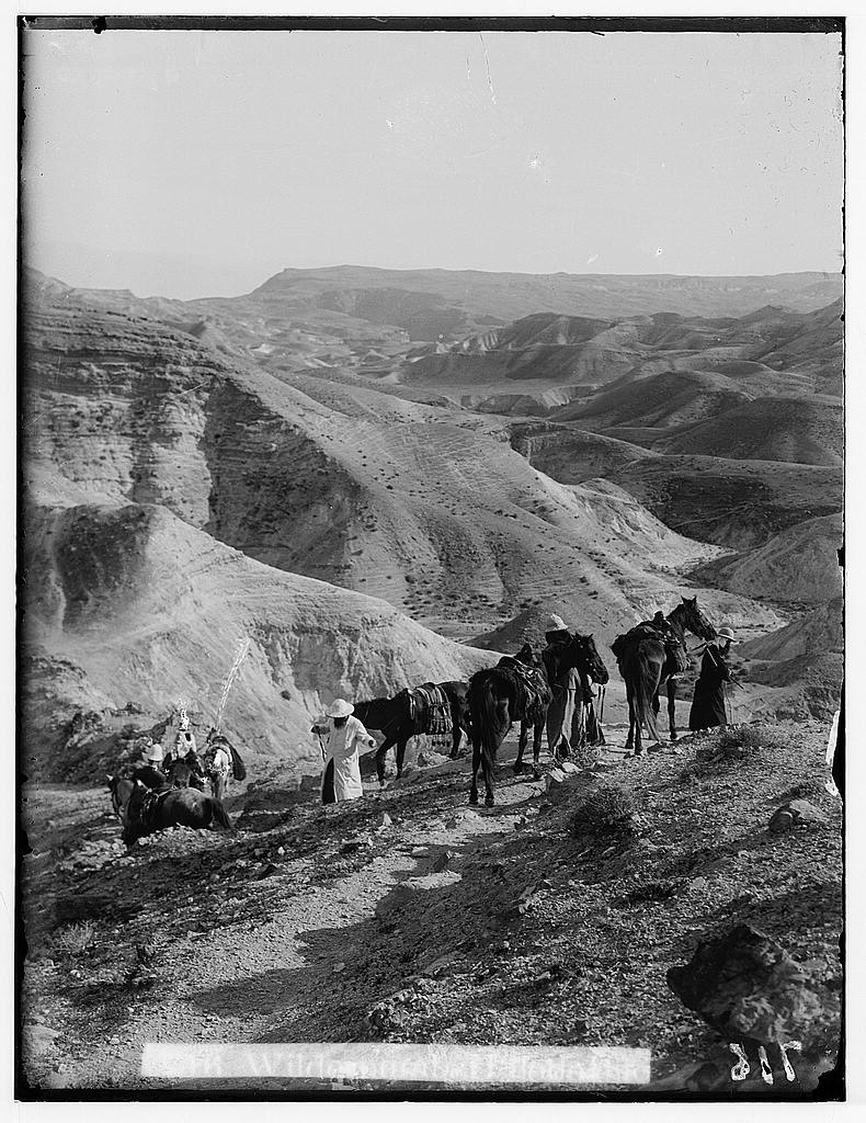 Southern Palestine. Wilderness of Tekoah