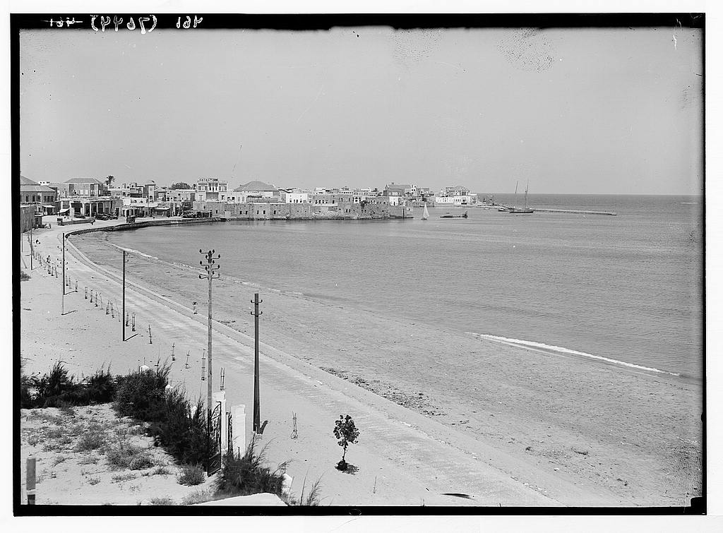 Tyre along the N. shore
